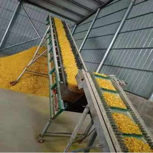 Линия воздушной сушки кукурузных хлопьев Картинка WeChat _20250423154504.jpg