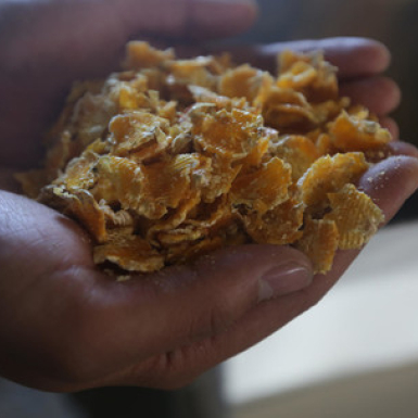 Таблетированный раствор паровой кукурузы