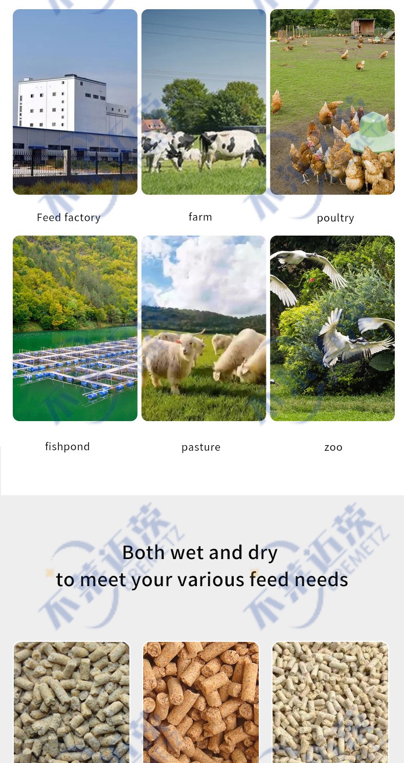 1731398988529950.jpg 英文_02.jpg