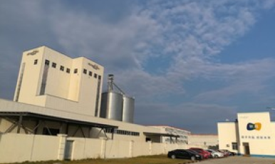 Су Инлянь: проект по производству паровых кукурузных таблеток