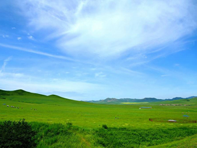 الأسمدة العضوية