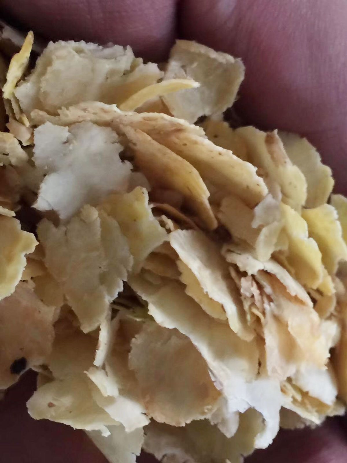 ترقية مطحنة البليت