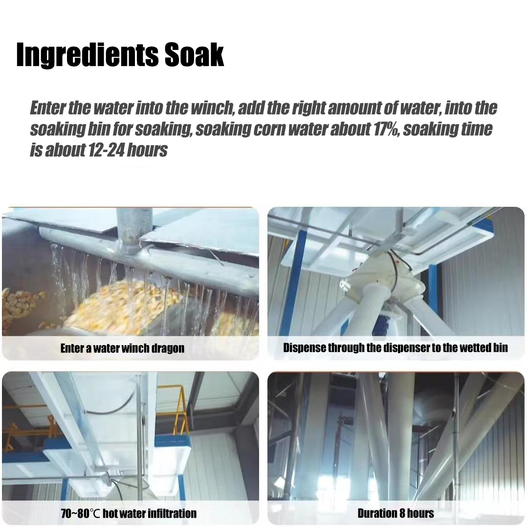 1729675219578349.jpg 玉米压片英文2.jpg