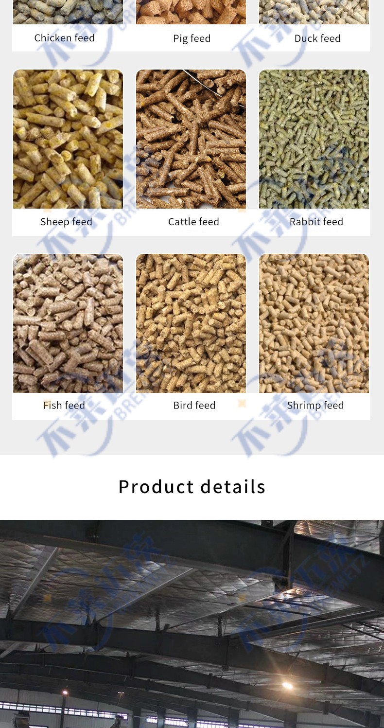 1731399040995068.jpg 英文_03.jpg