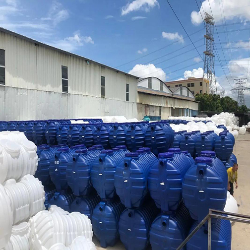 Tanque de biogás de plástico en escamas de maíz 微信图片_20250423095310.jpg