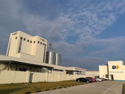 Су Инлянь: проект по производству паровых кукурузных таблеток