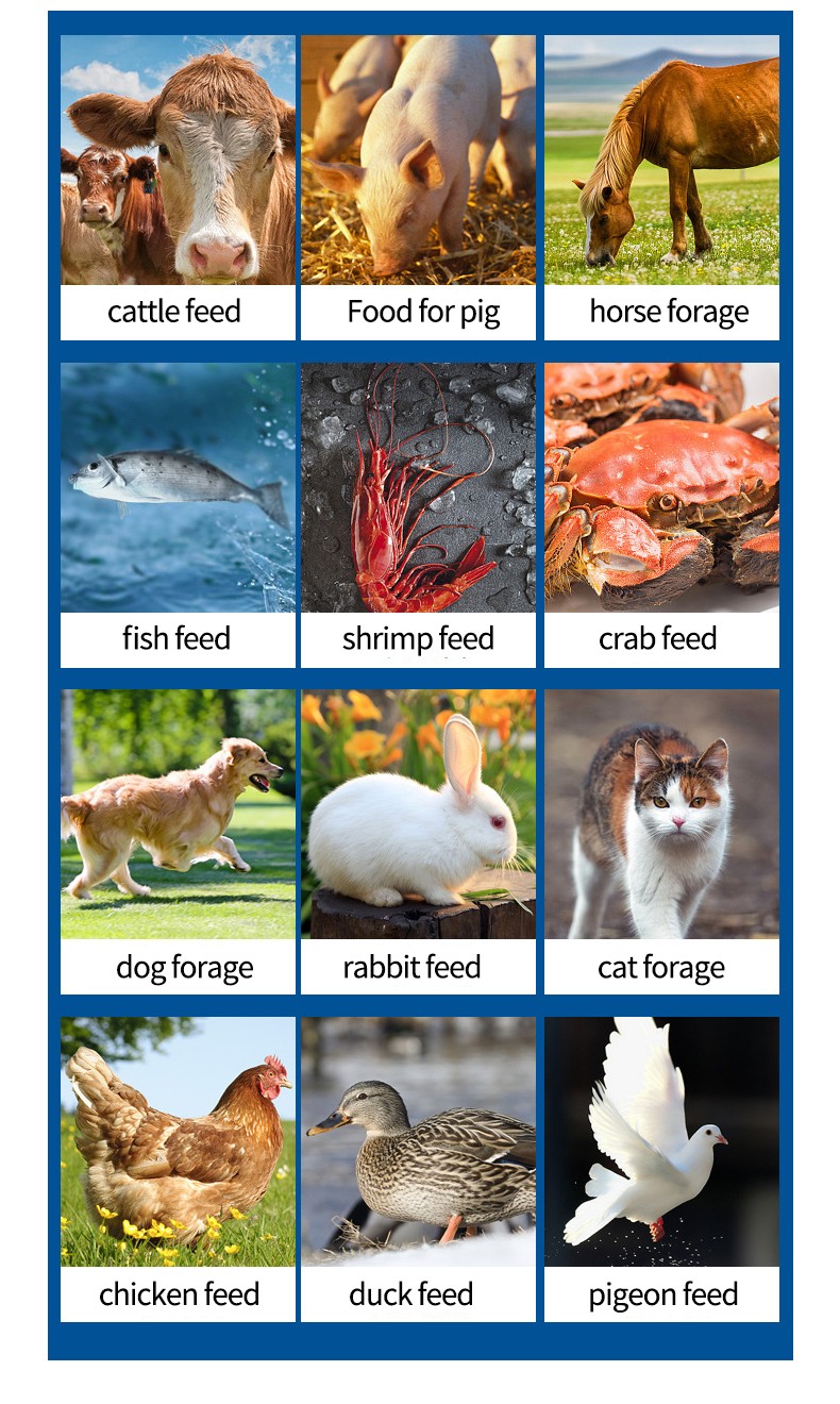 1730853546346554.jpg 详情_03.jpg