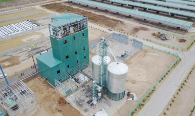 Projet de comprimés de maïs à vapeur de China Resources (Haiyuan) pour le tournage