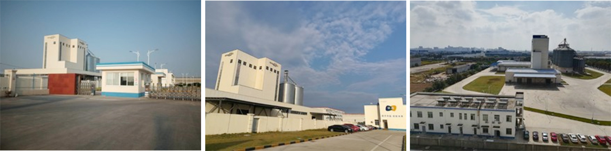 Су Инлянь: проект по производству паровых кукурузных таблеток Су Инлянь: проект по производству паровых кукурузных таблеток