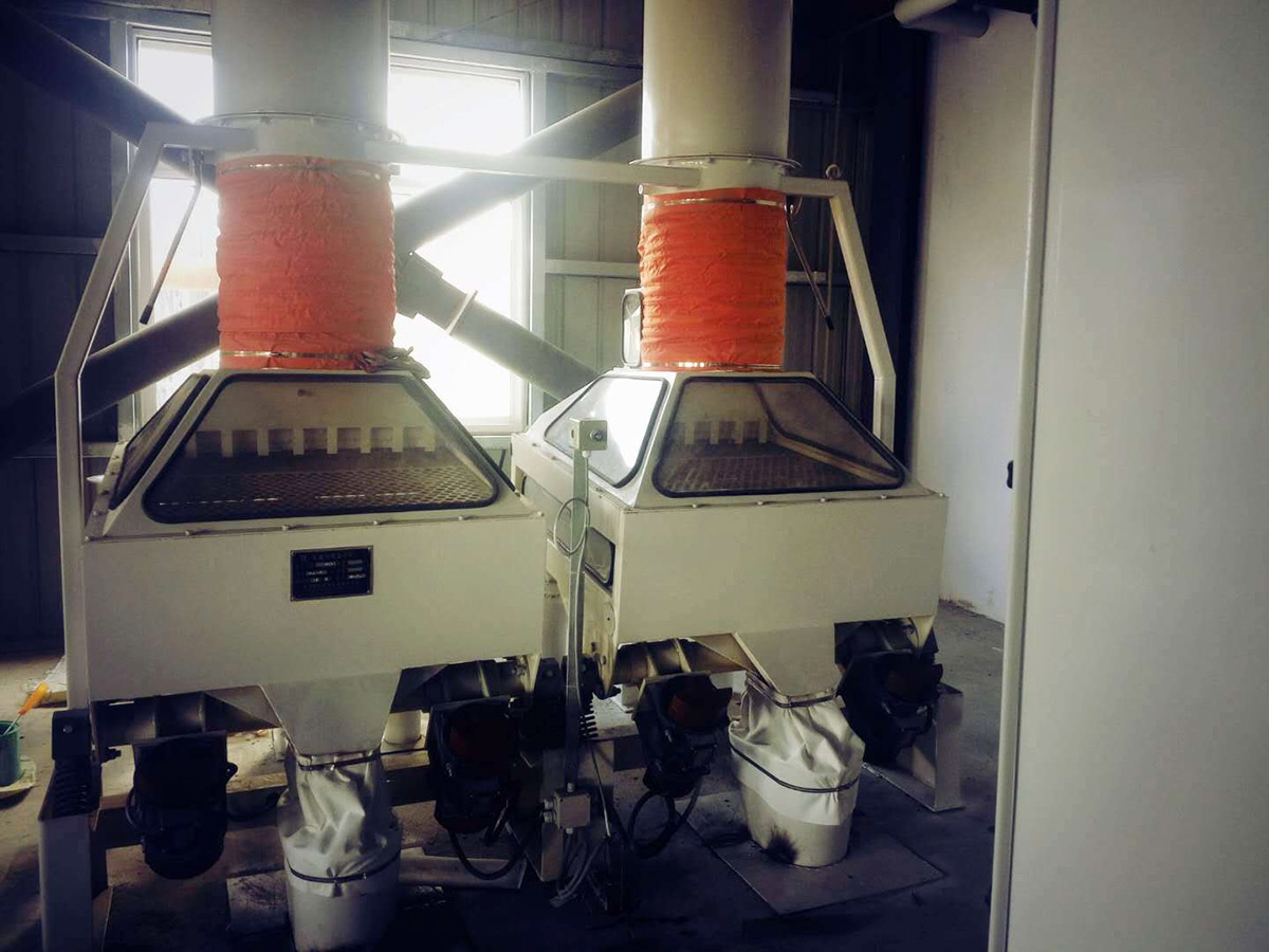 تم إطلاق أول خط إنتاج زراعي بريطاني في الصين رسميًا