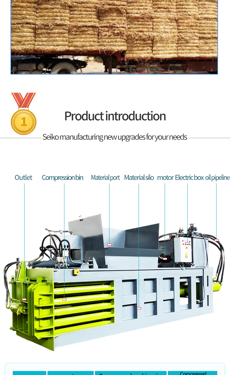 1734241188354793.jpg 5.jpg