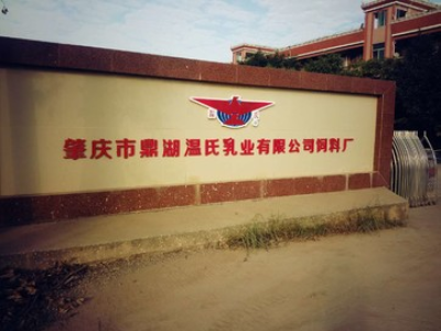Projeto de picagem de milho a vapor de Guangdong Wen