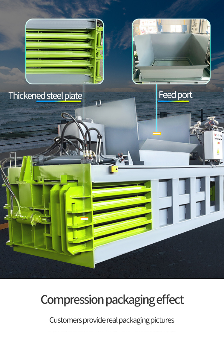 1734241125594664.jpg 3.jpg