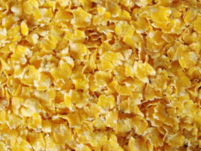 قرص ضغط الذرة