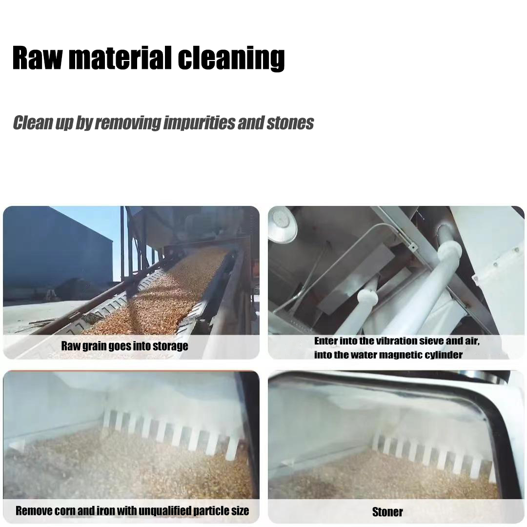 1729675238116027.jpg 玉米压片英文3.jpg