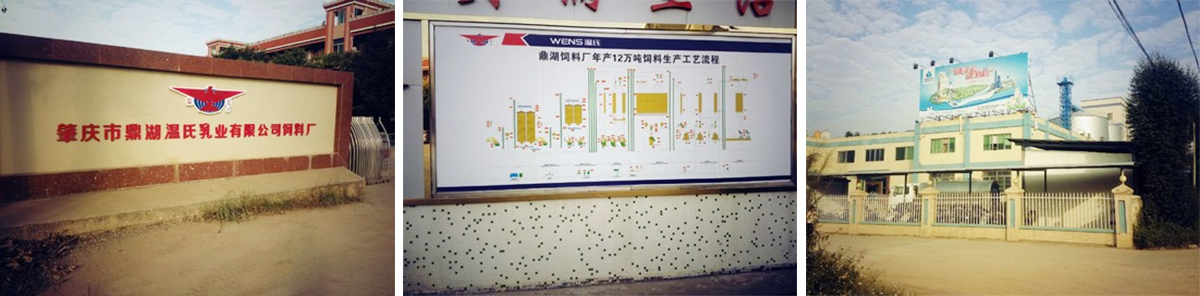 Проект паровой кукурузной чипсы провинции Гуандун Вэнь Проект паровой кукурузной чипсы провинции Гуандун Вэнь