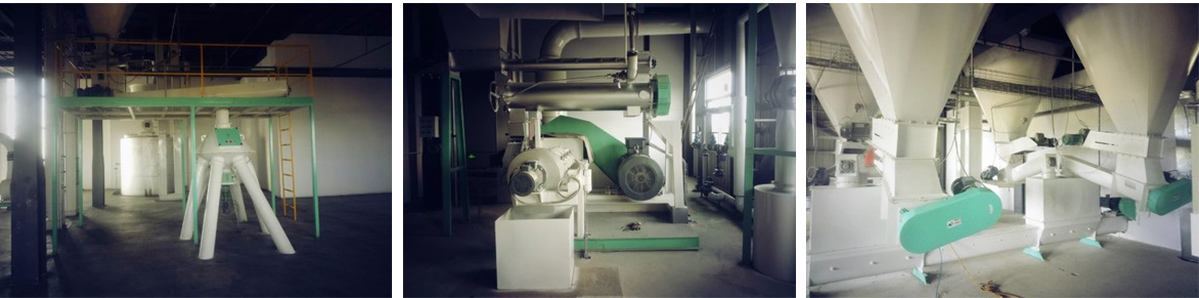 Су Инлянь: проект по производству паровых кукурузных таблеток Су Инлянь: проект по производству паровых кукурузных таблеток