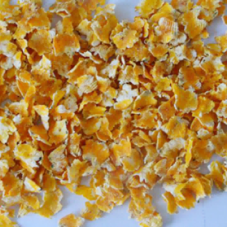 عينة من الذرة المضغوطة