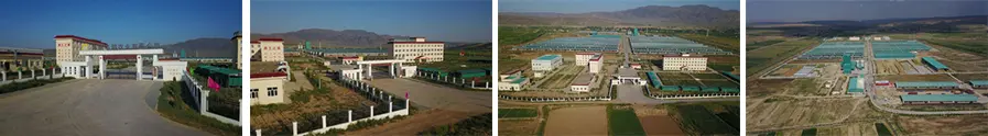 Haiyuan China Resources Integrated Feed Production Line